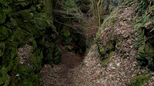 Gorge Crevasse chasm mossy