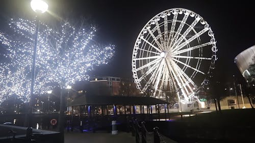 An Illuminated Tree And Ferris Wheel