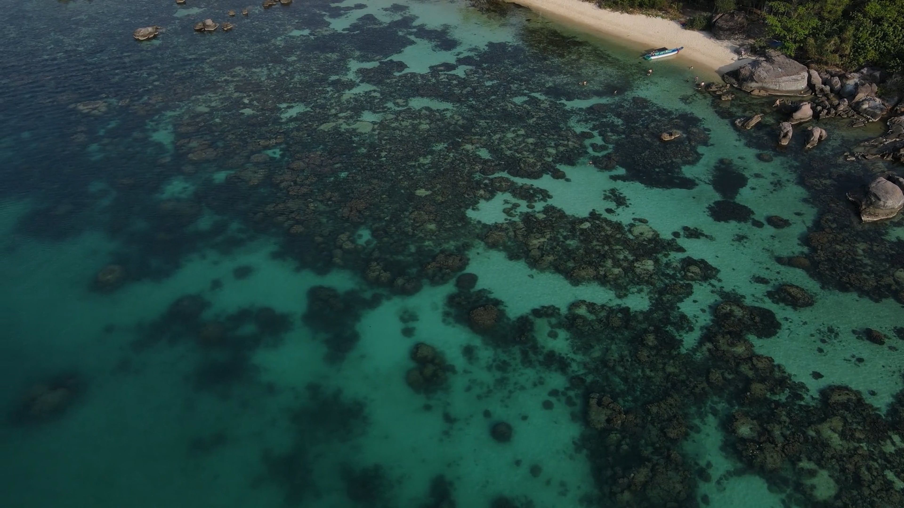 Coral Atoll Videos, Download The BEST Free 4k Stock Video Footage ...