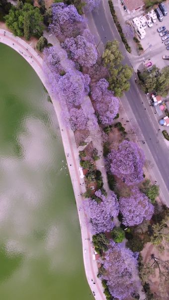 中国文化视频素材视频素材