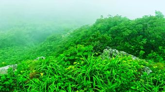 风景视频素材免费下载免费下载视频素材