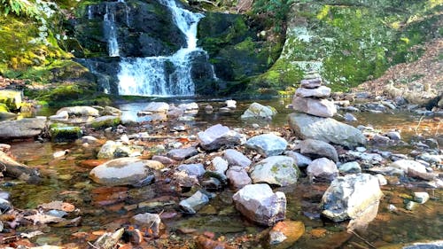 A Stream Cascading over Mossy Rocks