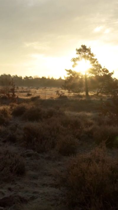 Matthias Groeneveld's fantasy landscape cinematic video