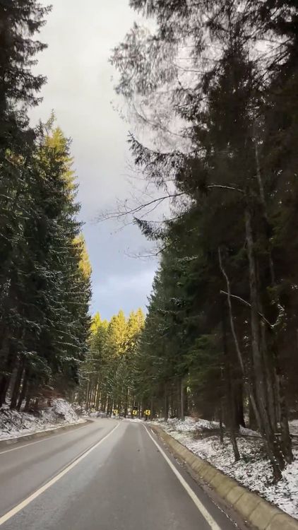 A road with trees and snow on it Free Stock Video Footage, Royalty-Free ...