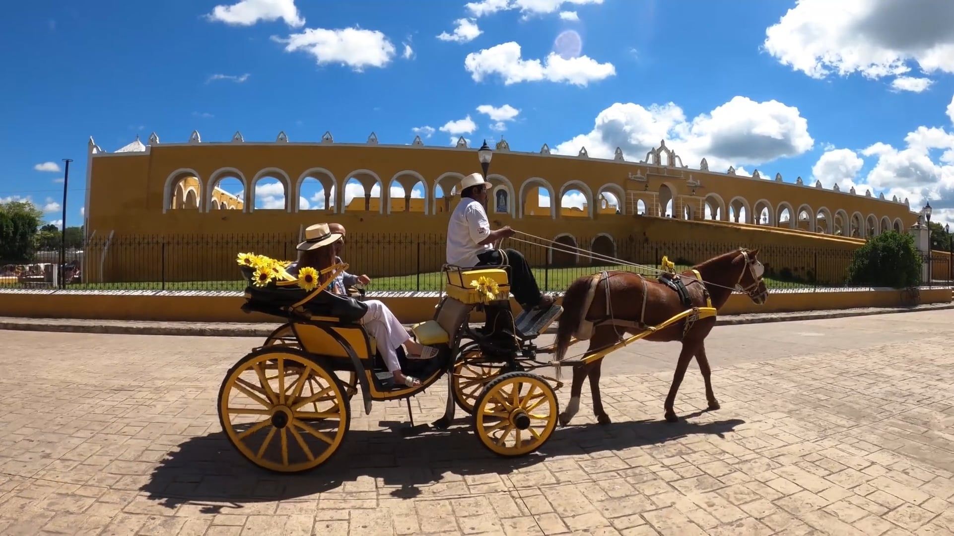 Rickshaw Horse Videos, Download The BEST Free 4k Stock Video Footage ...