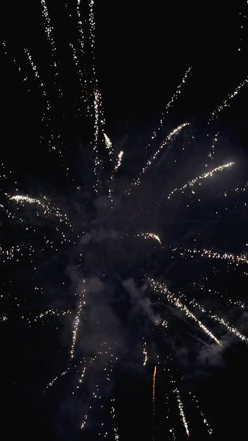 Colorful Fireworks on a Dark Night Sky