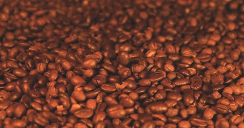 Close up View of Coffee Beans Falling In Slow Motion