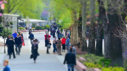 People Walking In The Park In Timelapse Mode