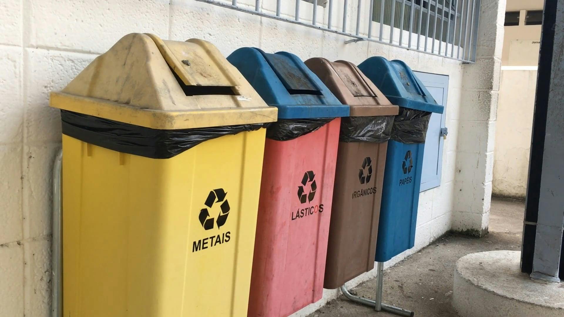 Recycling Bins · Free Stock Video