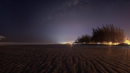 Milky way at the beach with pine trees wide angle timelapse