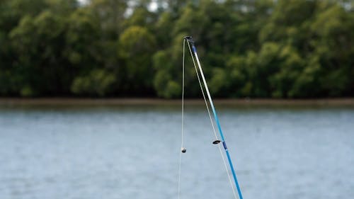 Pesca In Riva Al Lago