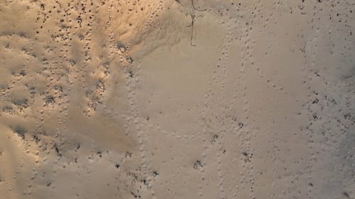 Top View of an Arid Landscape