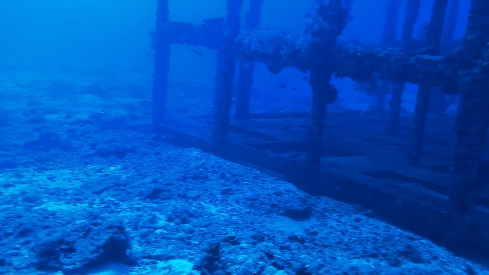 Underwater Footage of Scuba Divers Visiting the Steel Reef in Green ...
