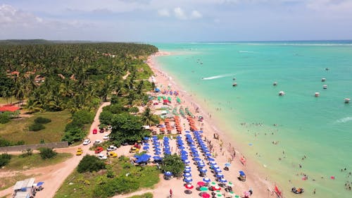 Aerial View of a Tropical Beach with Turquoise Sea Waters