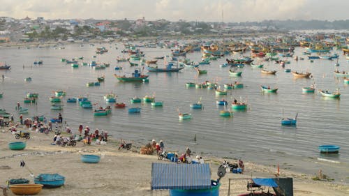 Colorful Fishing Boats Anchored near the Shore 