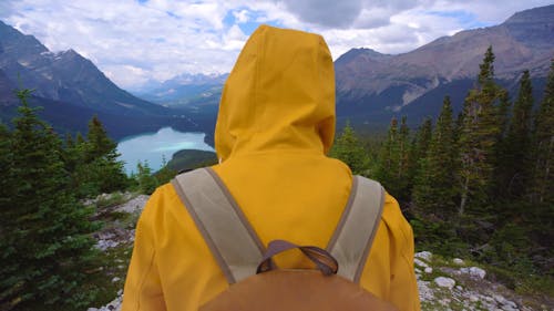 Person Hiking In Summer Mountains Peyto Lake Banff