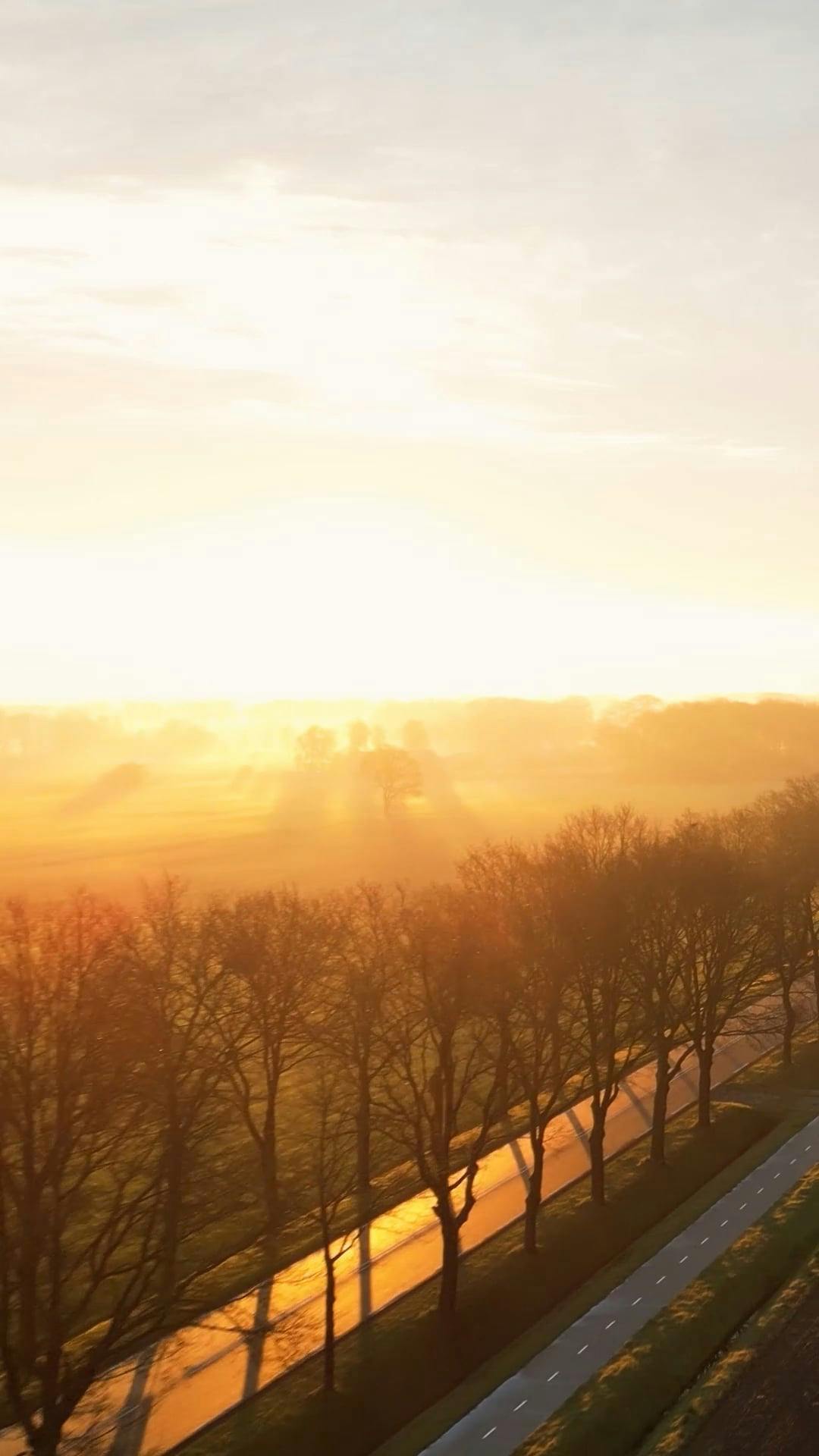 Video by Matthias Groeneveld