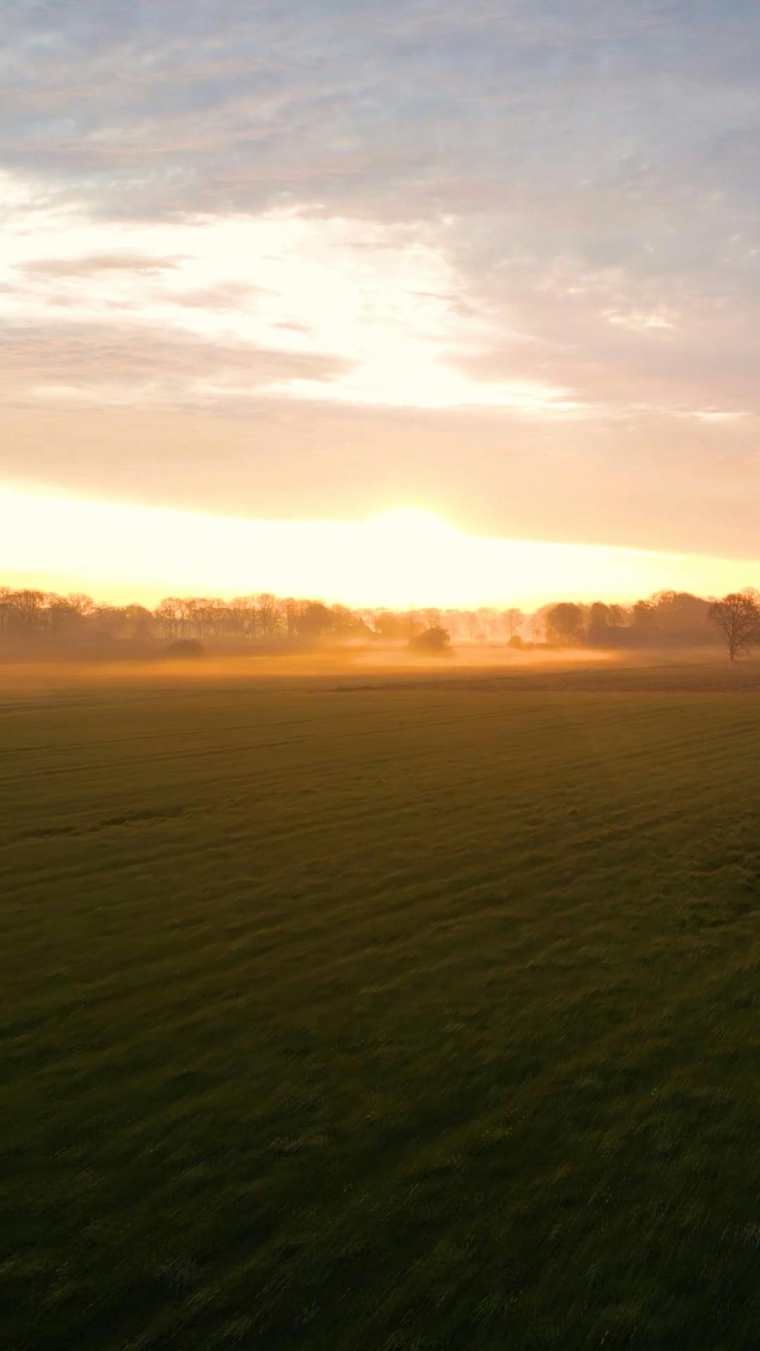 Video by Matthias Groeneveld