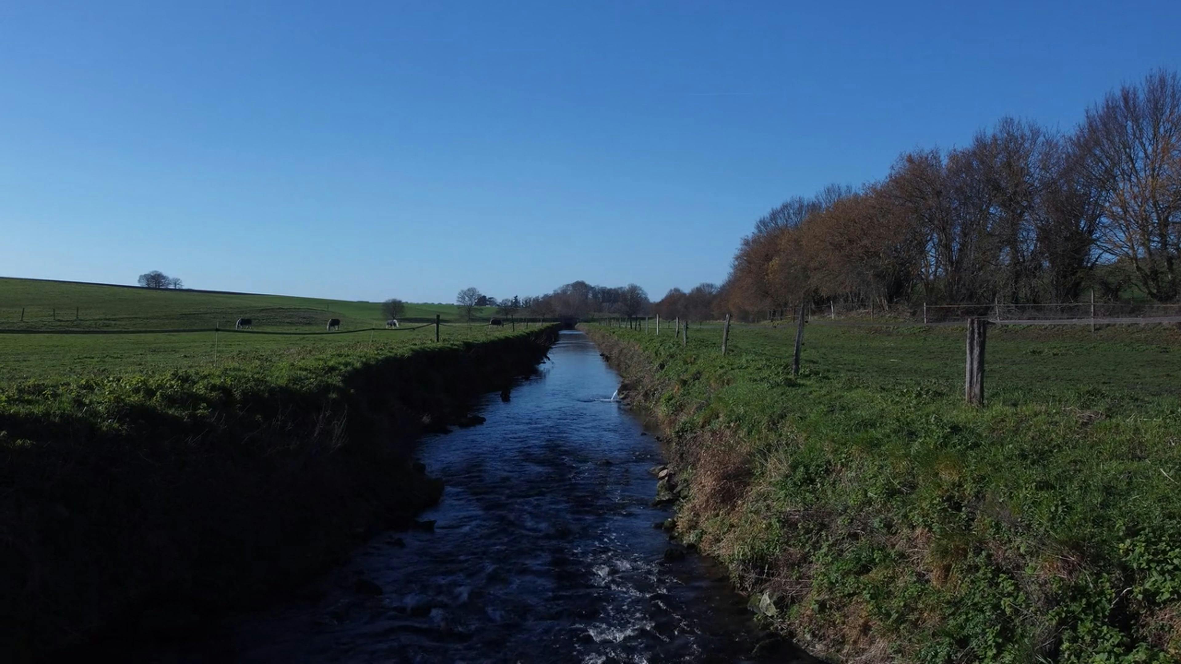 Rivière Free Stock Video Footage, RoyaltyFree 4K & HD Video Clip