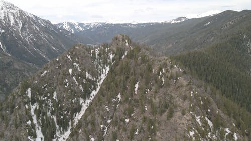 Drone Footage of Forest Trees on a Mountain Top