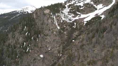 Aerial Video of Forest Trees on a Snowy Mountain 