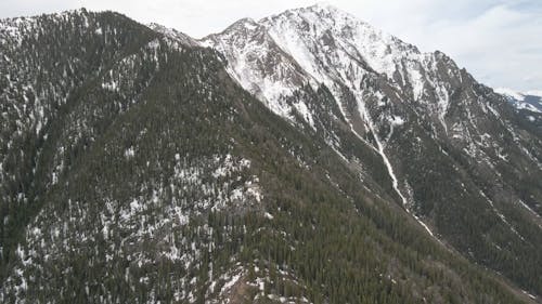 Drone Video of Forest Trees on a Snowy Mountain 