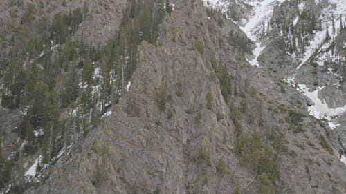 Drone Video of Pine Trees on a Snowy Rocky Mountain 