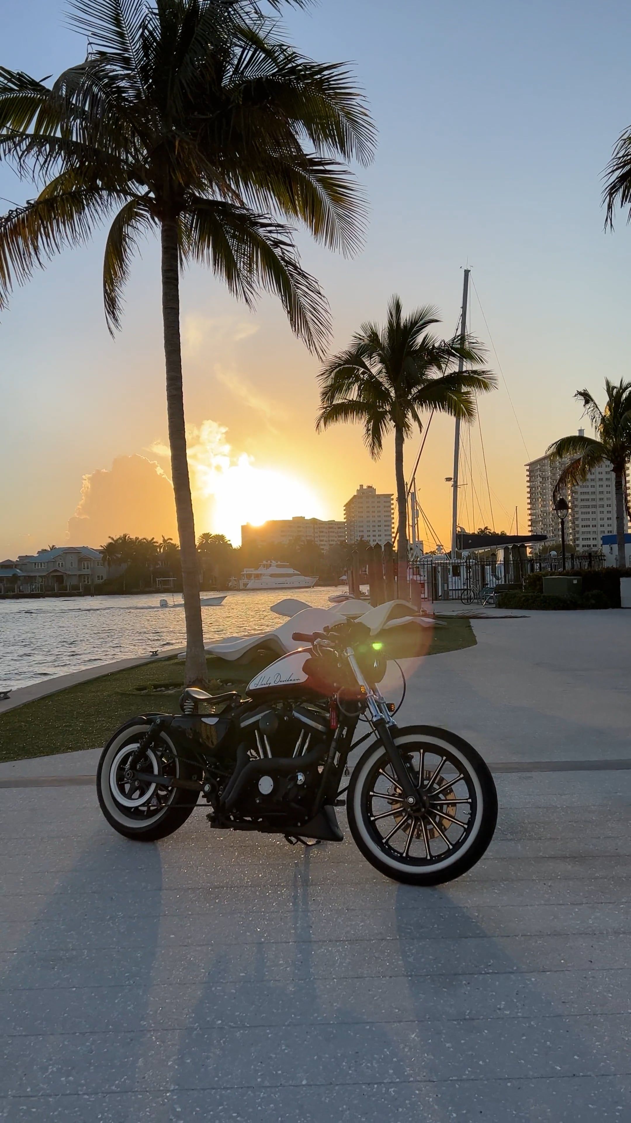 Harley Davidson Videos, Download The BEST Free 4k Stock Video Footage & Harley  Davidson HD Video Clips