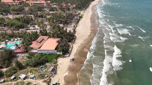 Aerial Footage of a Sandy Beach and Palm Trees