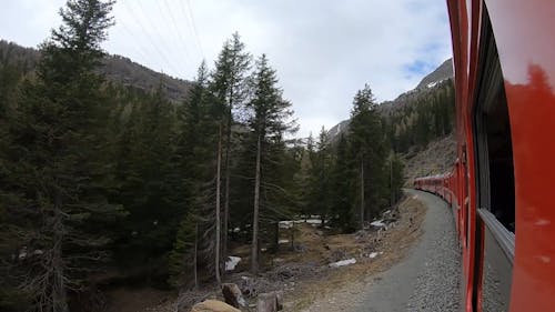 A Train Ride in a Mountain Landscape