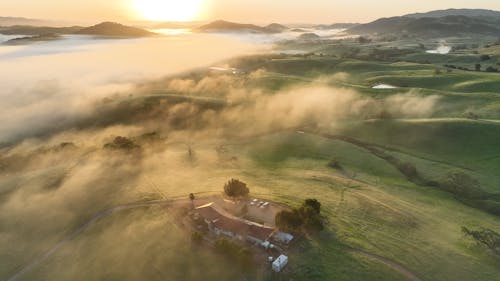 Aerial View of Foggy Green Hills at Sunrise 