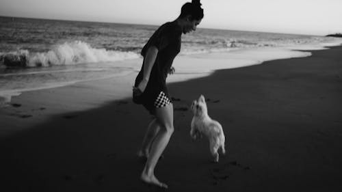 A Woman Playing with her Dog on the Beach