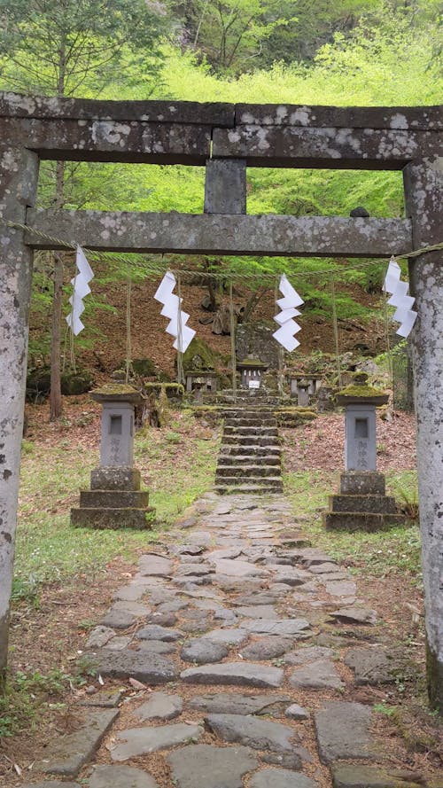 A Shinto Shrine in a Forest 