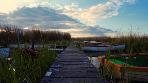 Boats Moored by a Wooden Pier on a Lake 