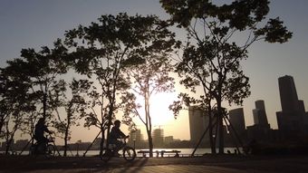 晨光城市视频素材高清视频免费下载视频素材