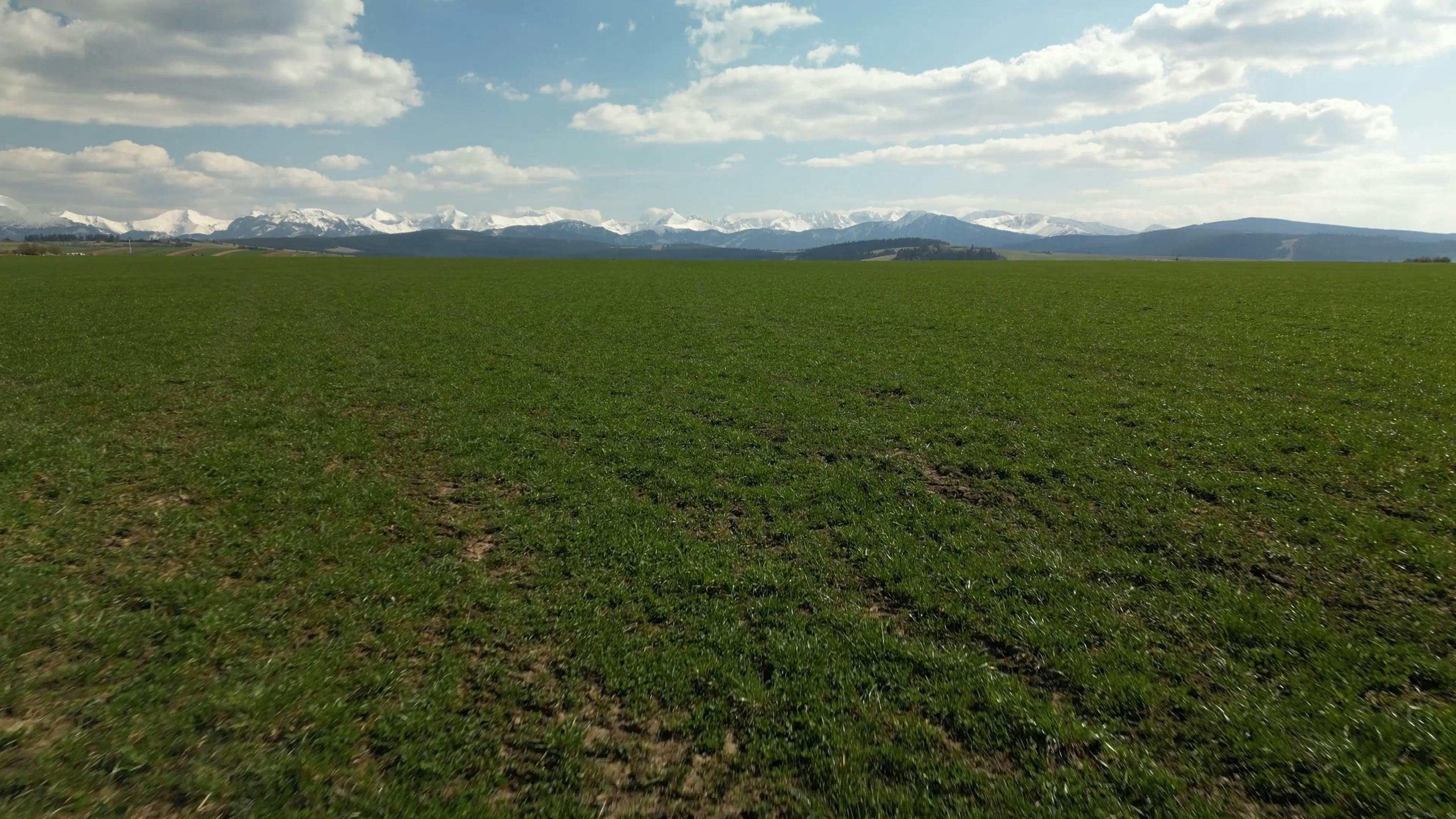 Video by Michał Świstak Operator