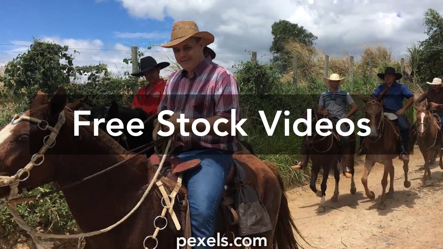 Cowboy Videos, Download The BEST Free 4k Stock Video Footage & Cowboy HD  Video Clips