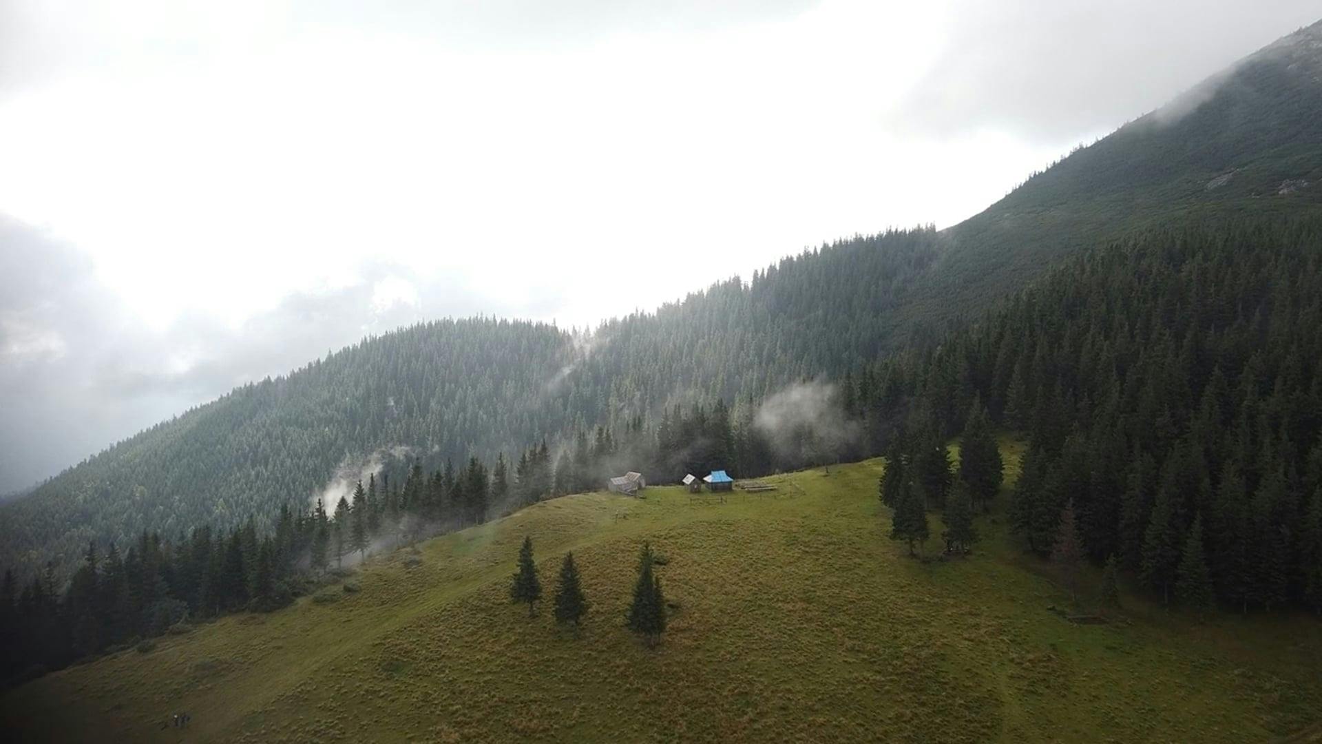 Video by Назар Пінчук