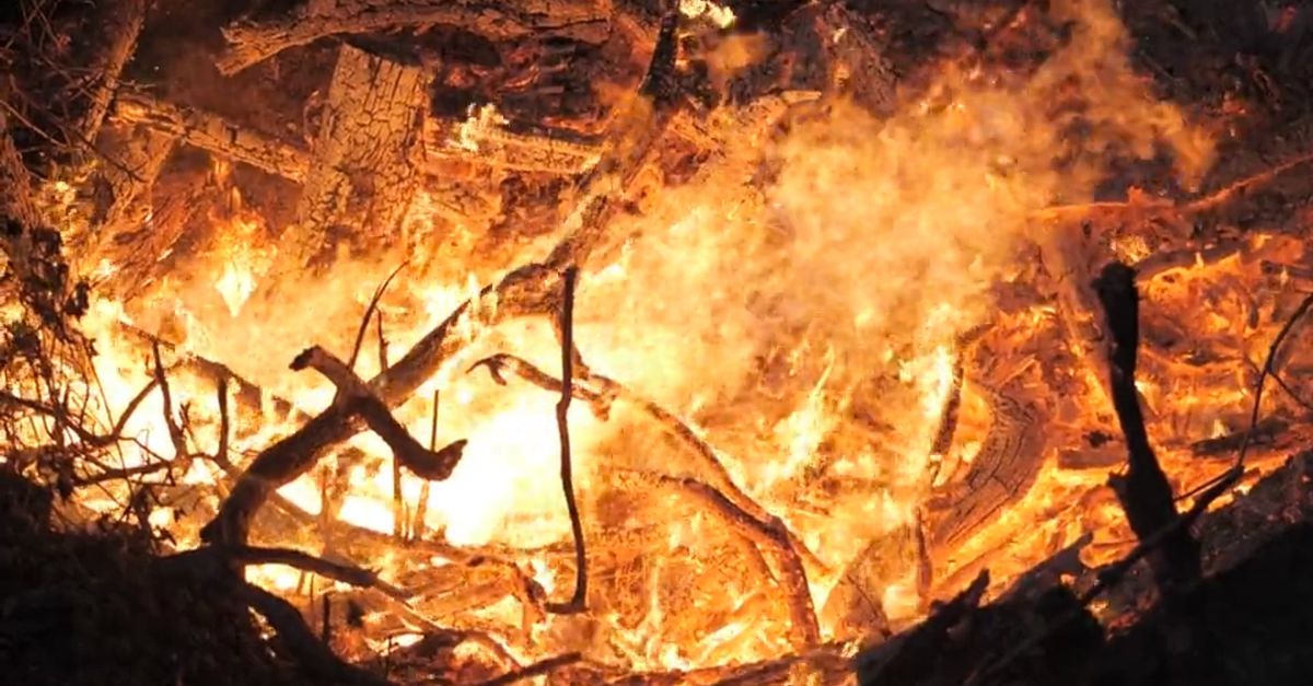 Fire Arising Close up View of a Burning Fire Free Stock Video Footage, Royalty-Free ...