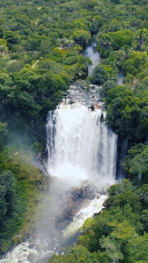 Drone View of a Waterfall and Green Forest Trees