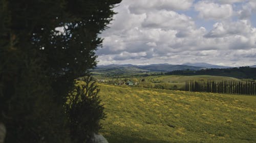 Typical Tuscan countryside