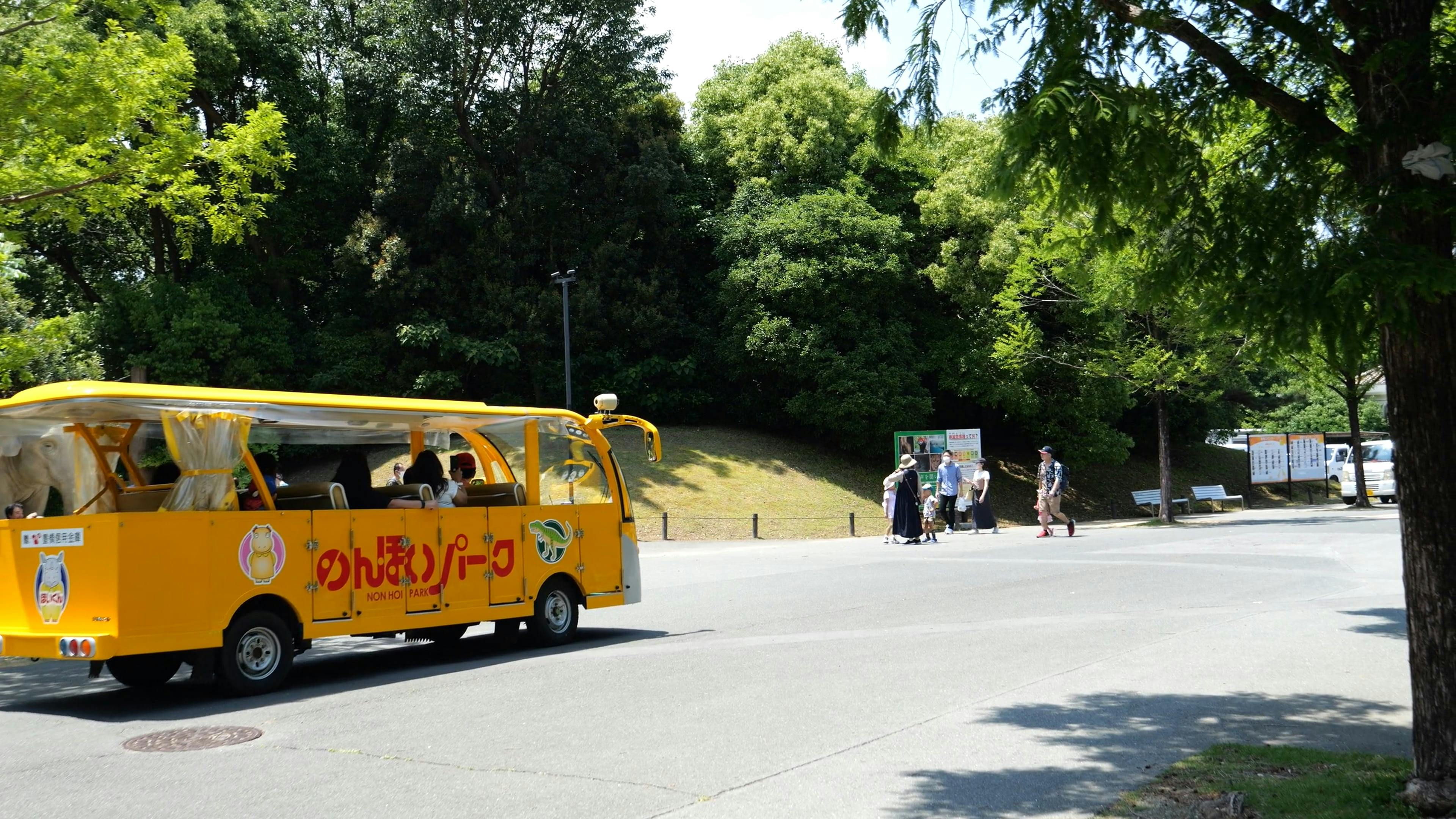 Cars for sightseeing in the park Free Stock Video Footage, RoyaltyFree