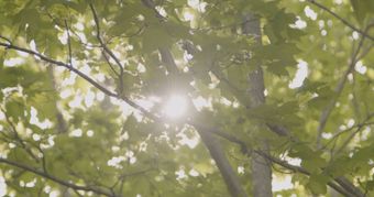 治愈系视频免费下载视频素材免费下载视频素材