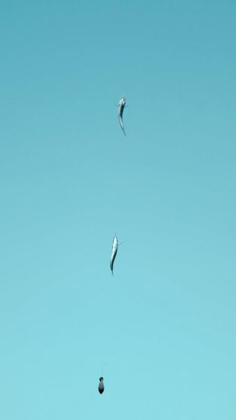 蜘蛛侠免费下载免费下载免费下载视频素材