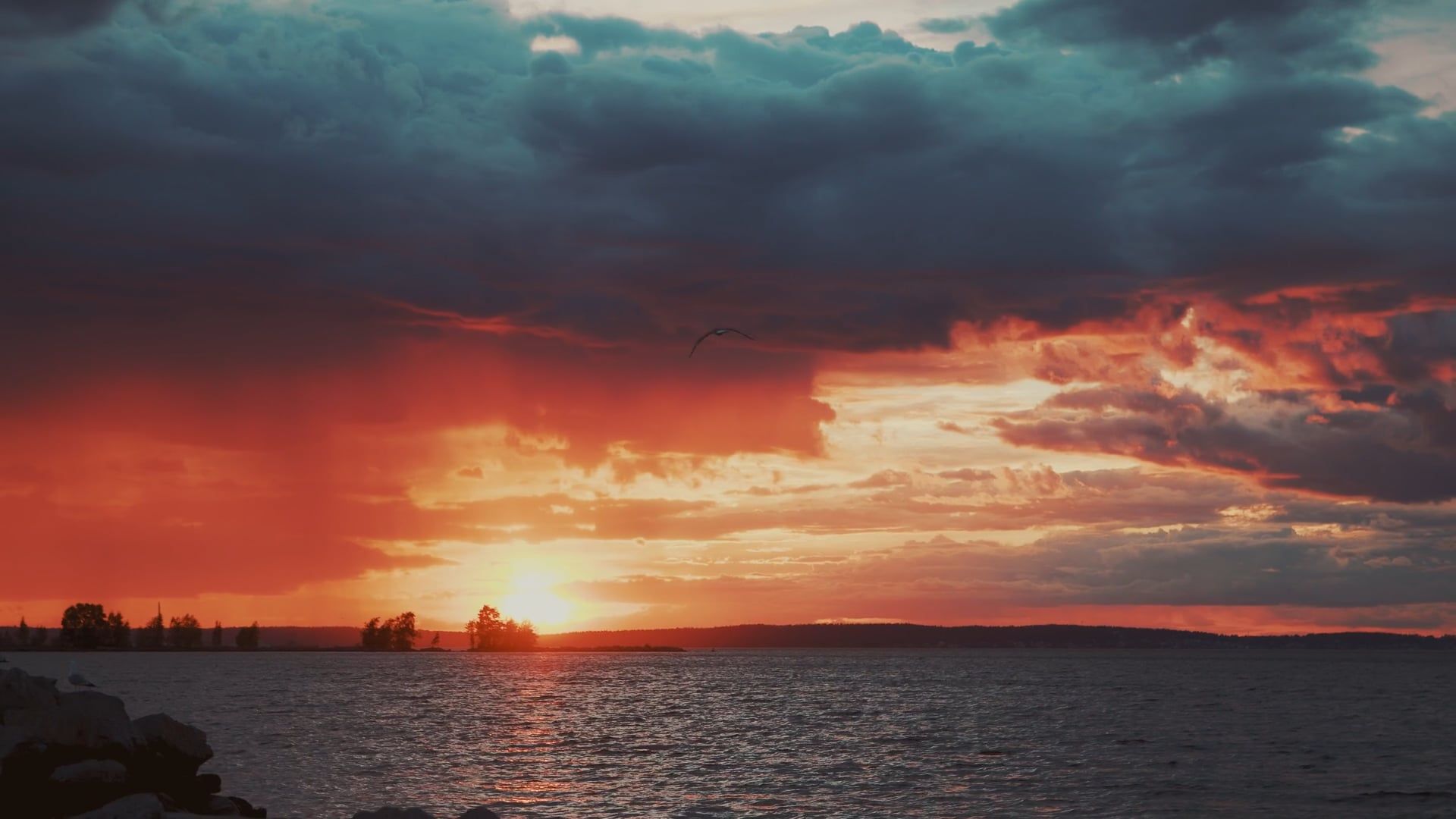 A sunset over the water with clouds and birds Free Stock Video Footage ...