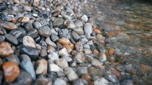 Stony shorefront on a lake in Switzerland