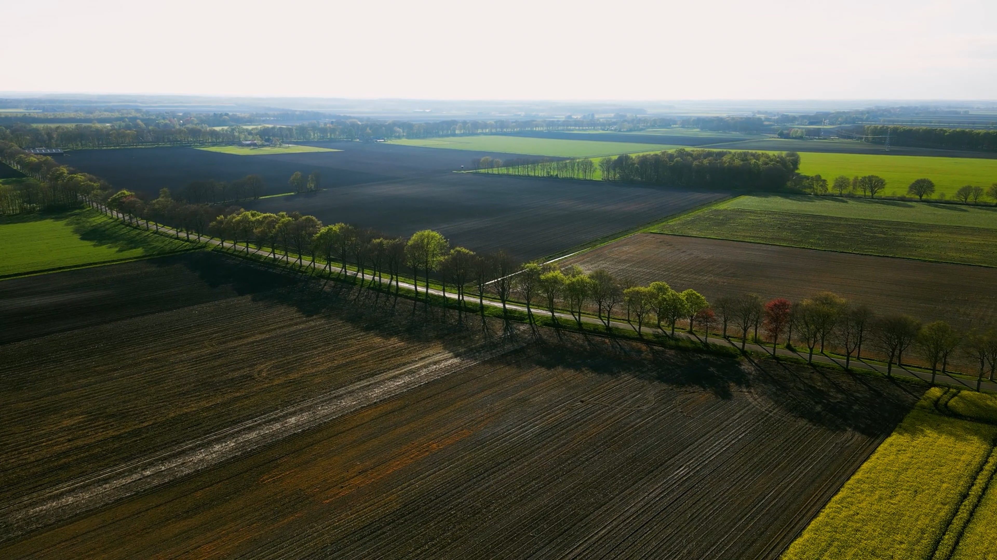 An aerial view of a field with trees and a road Free Stock Video ...
