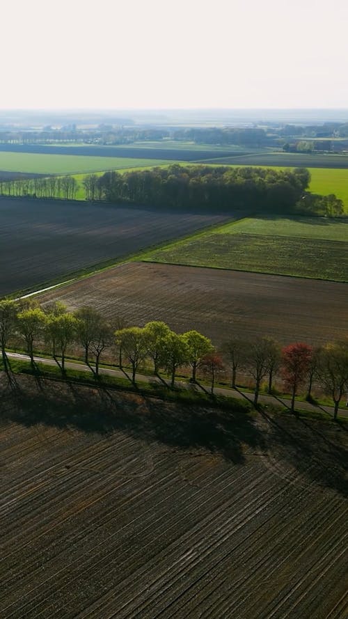 Drone Footage of Cyclist on a Country Road 