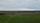 fields