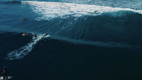 Drone Footage of Surfers Riding Waves 